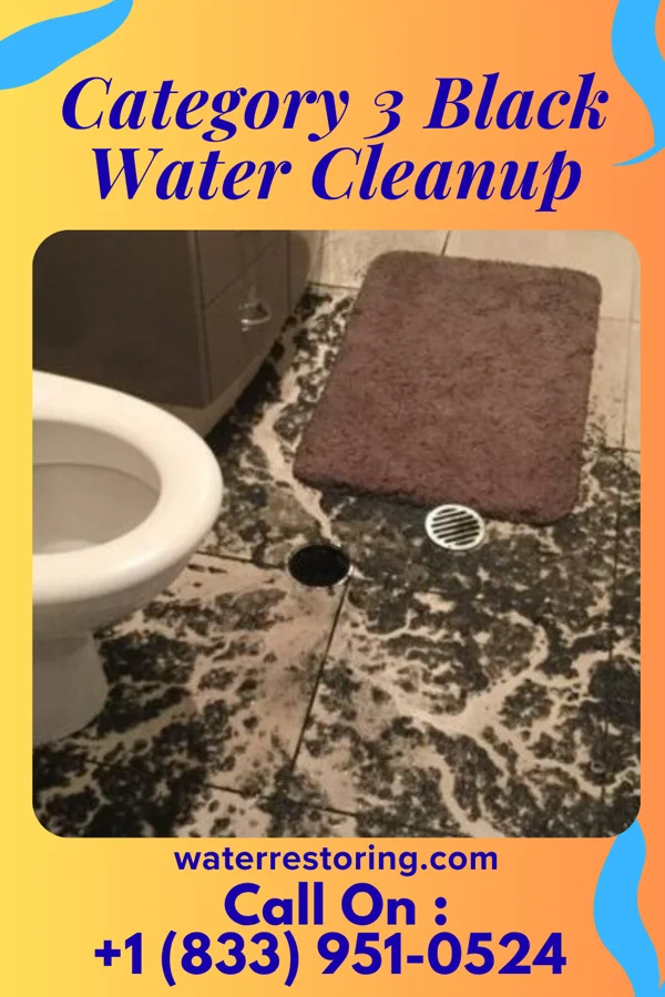 Category 3 Black Water Cleanup in Bridgeville, NY