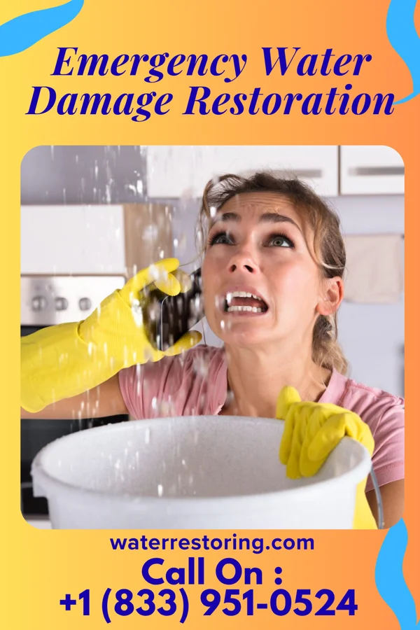 Emergency Water Damage Restoration in Bridgeville, NY