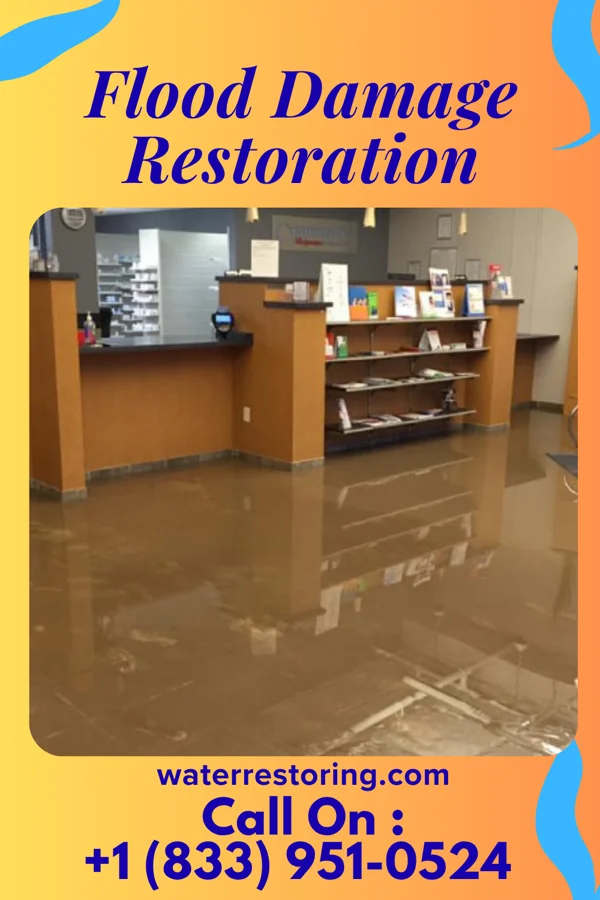 Flood Damage Restoration in Bridgeville, NY
