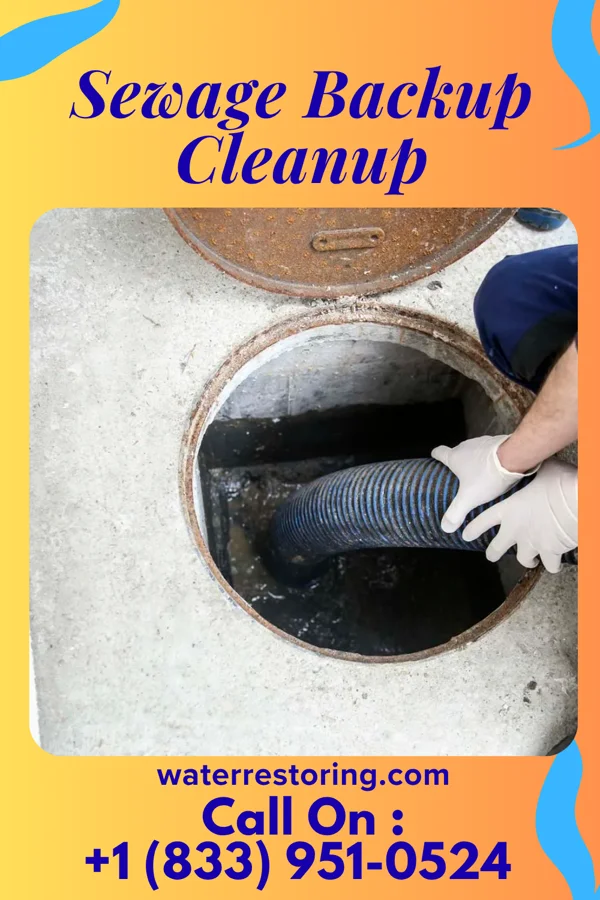 Sewage Backup Cleanup in Bridgeville, NY