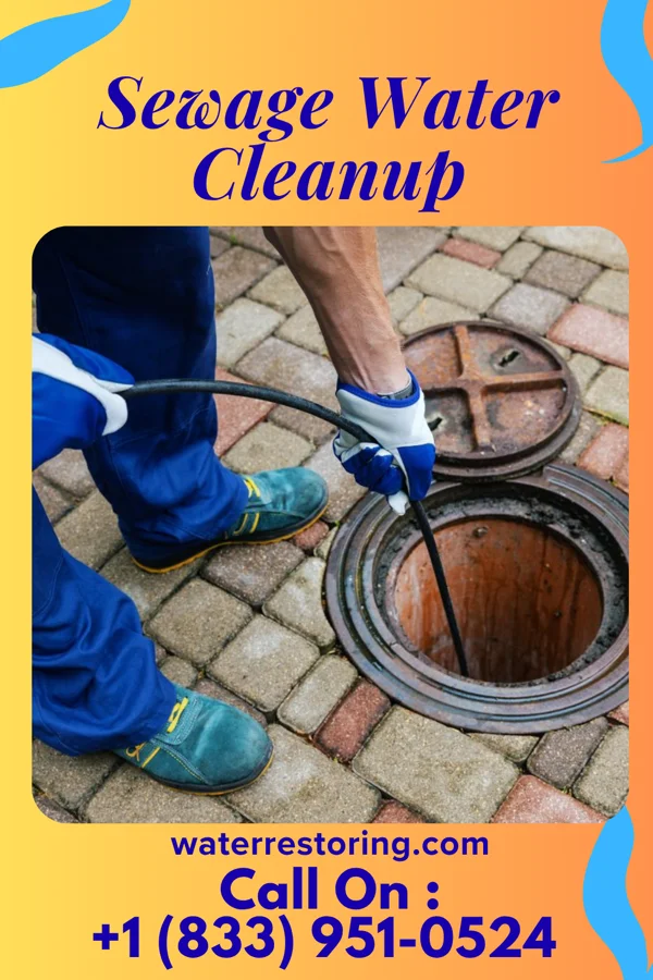 Sewage Water Cleanup in Bridgeville, NY